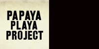 papaya_playa_group_logo